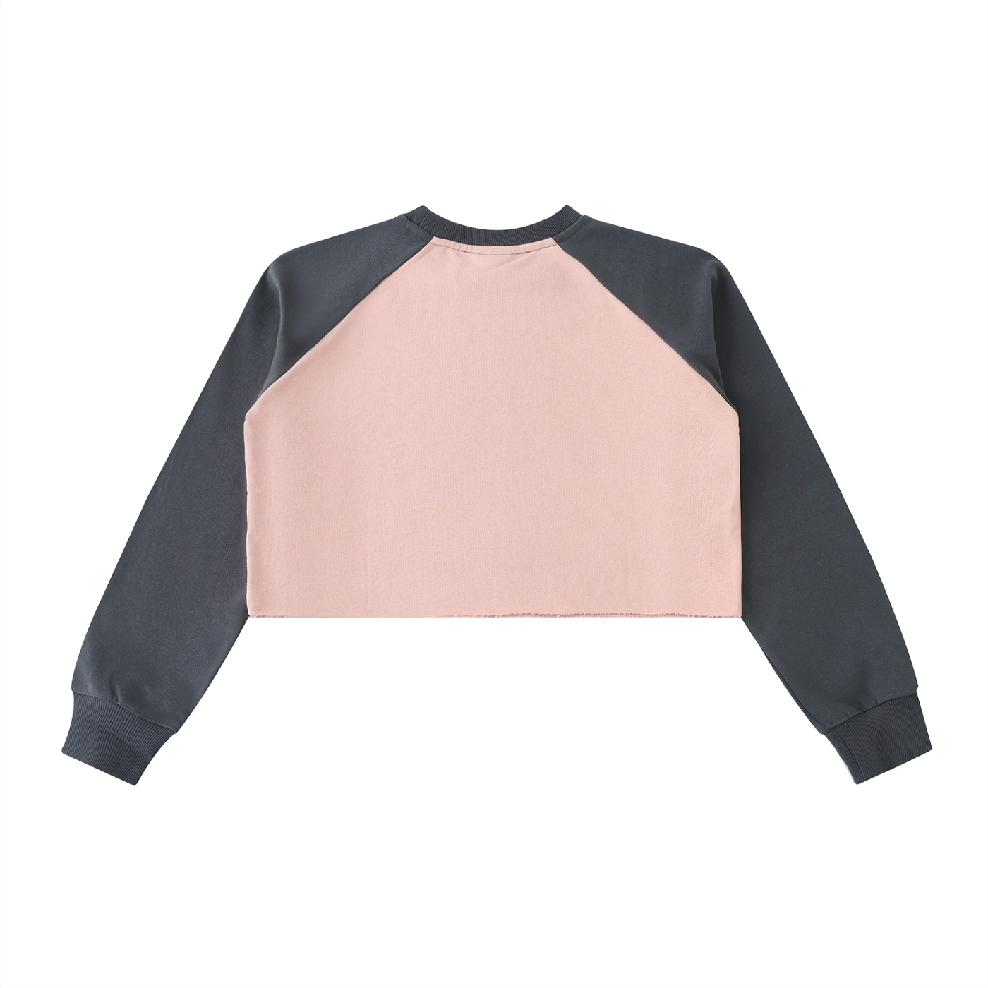 Aes Avera Raw-Hem Color-Block Raglan Crop Sweatshirt