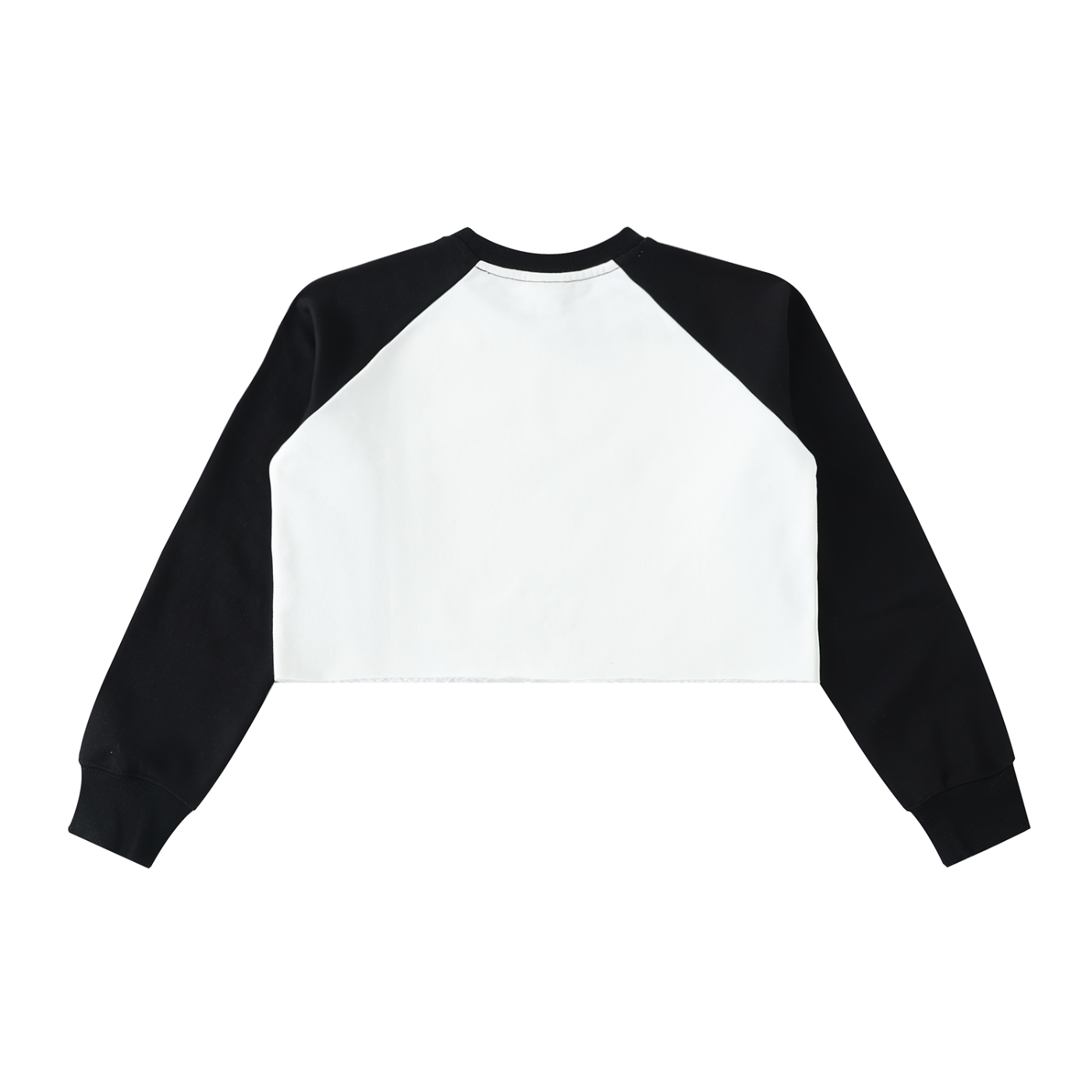 Aes Avera Raw-Hem Color-Block Raglan Crop Sweatshirt