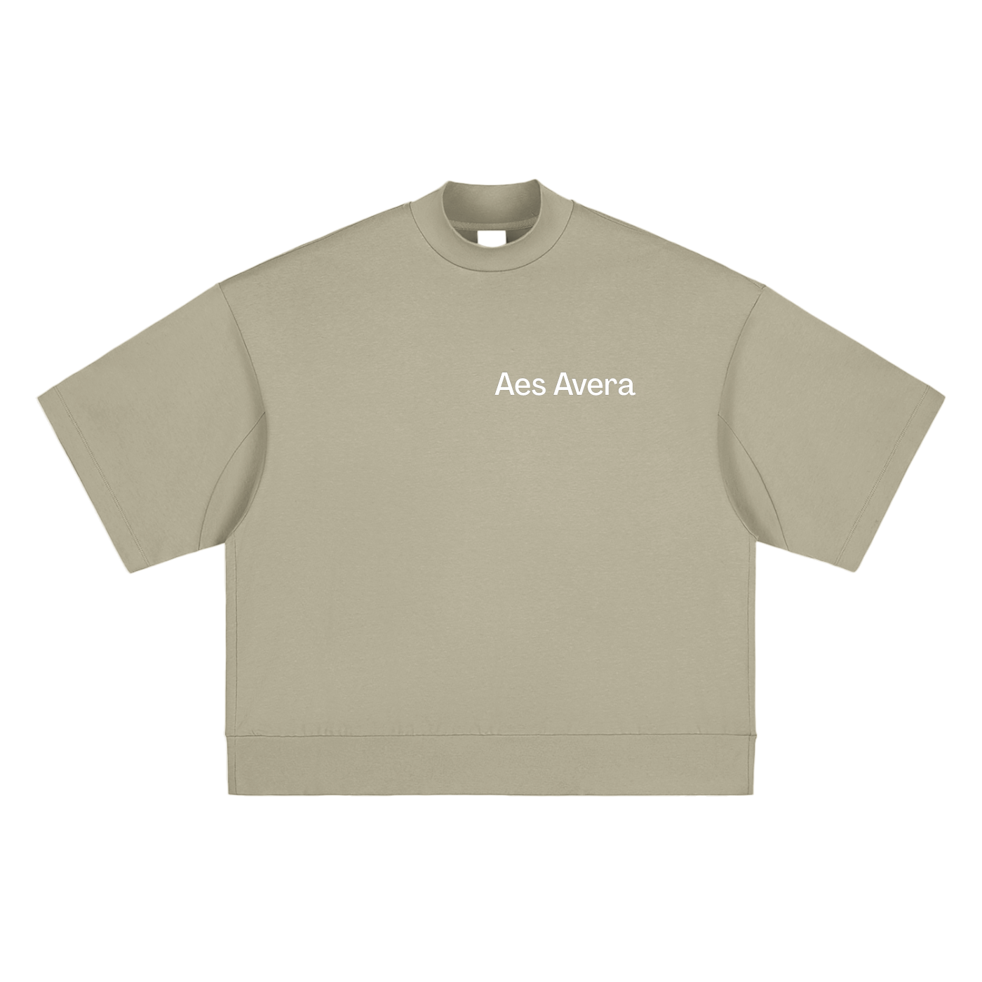 Aes Avera Heavyweight Oversized Mock Neck T-shirt