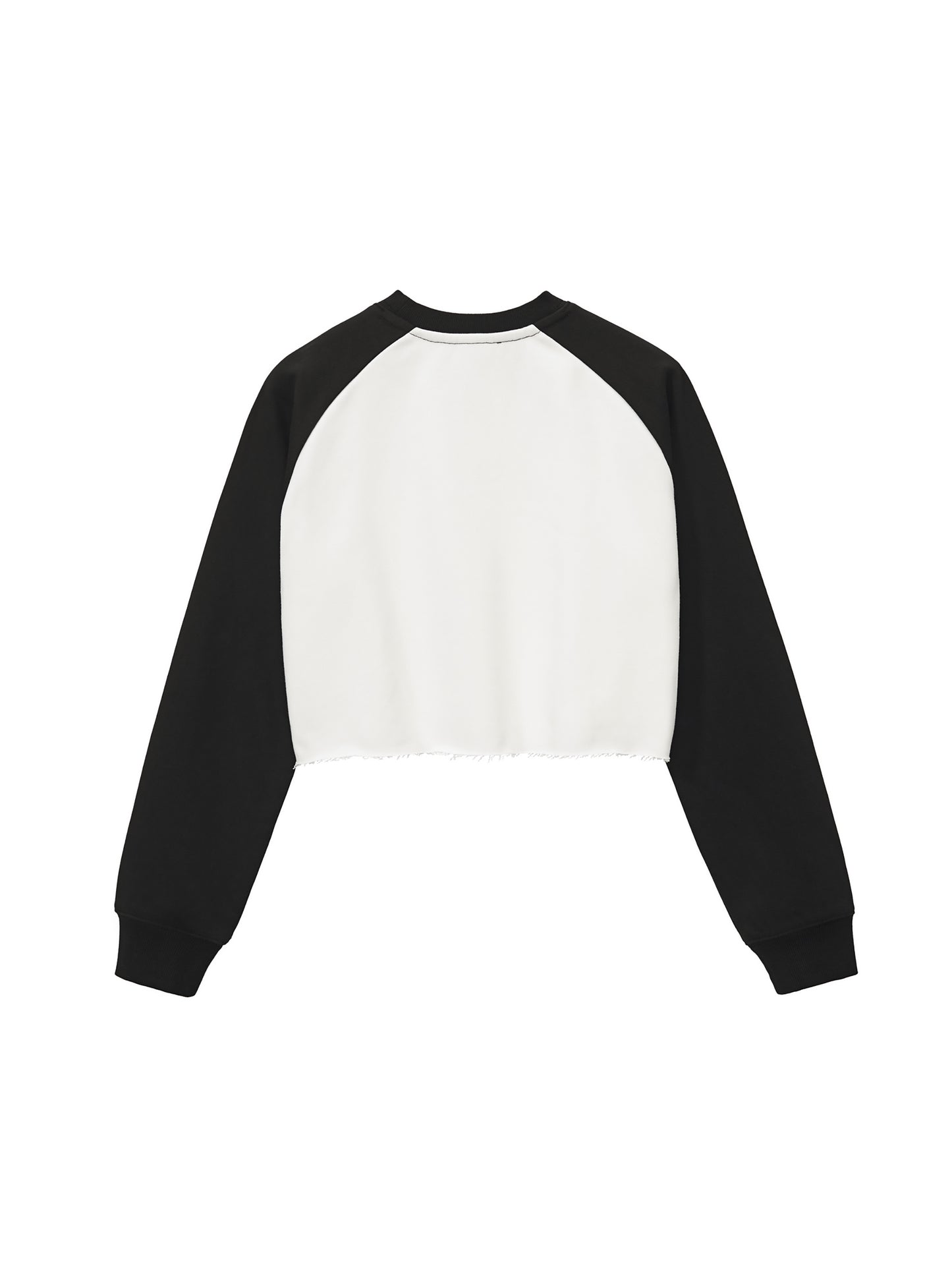 Aes Avera Raw-Hem Color-Block Raglan Crop Sweatshirt