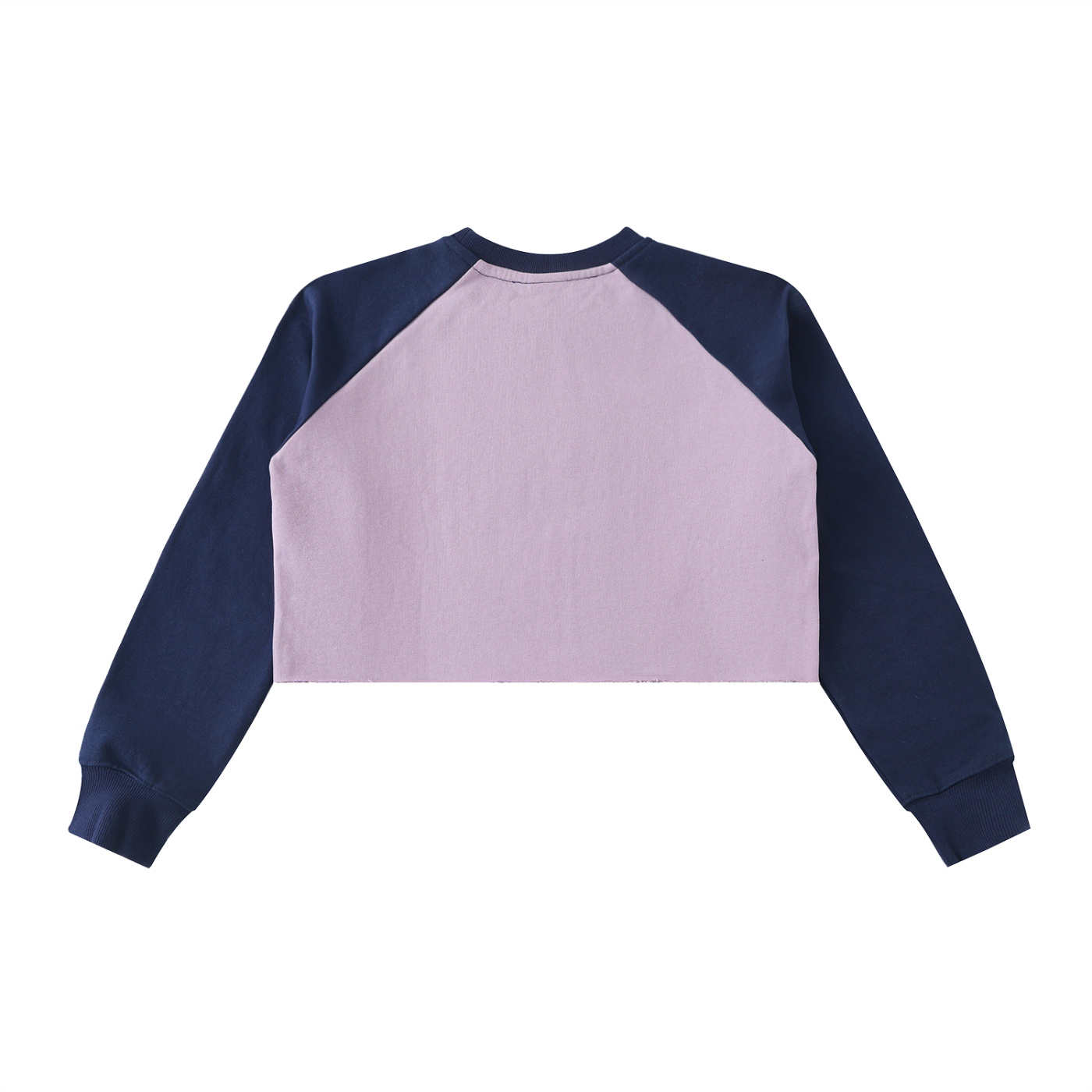 Aes Avera Raw-Hem Color-Block Raglan Crop Sweatshirt
