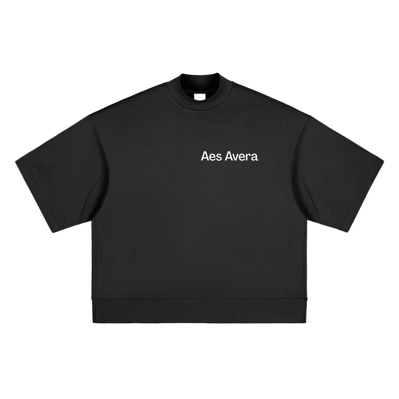 Aes Avera Heavyweight Oversized Mock Neck T-shirt