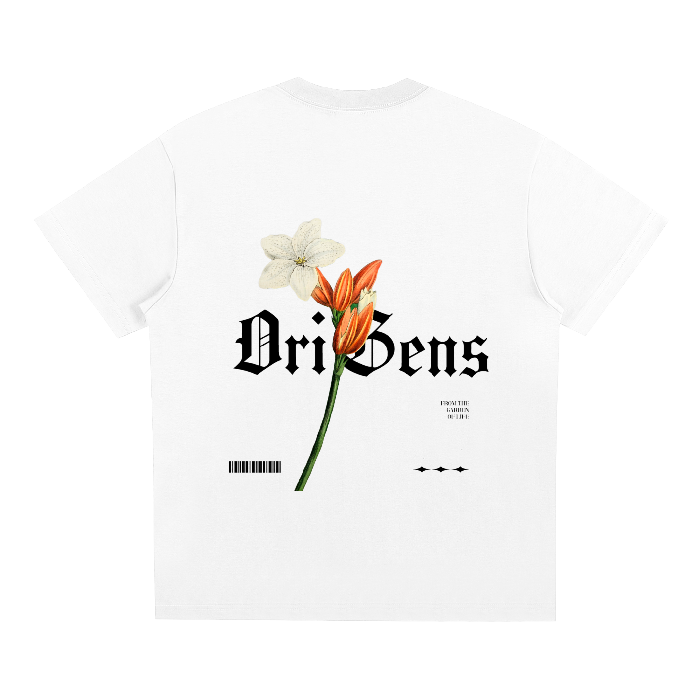 Aes Avera T-shirt