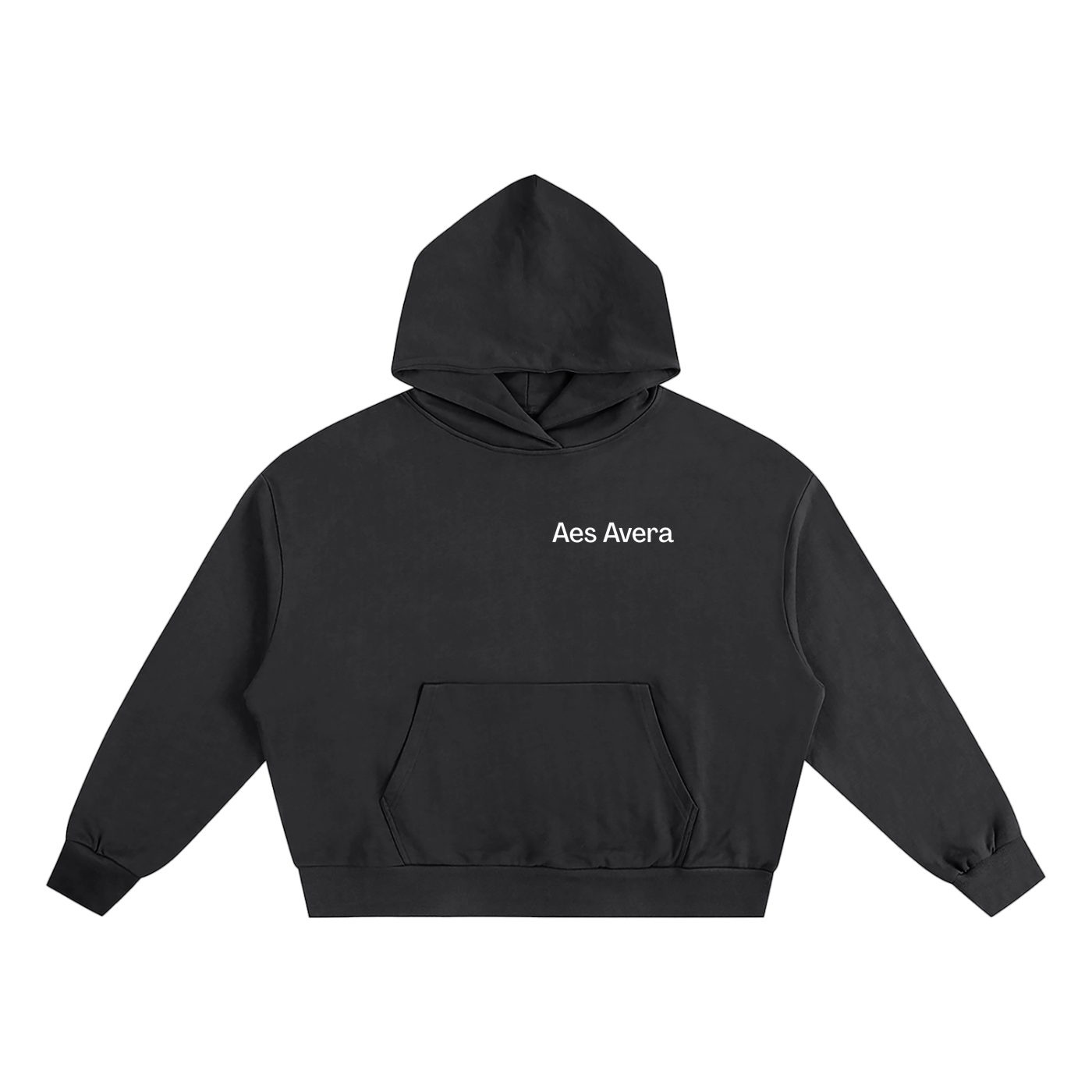 Aes Avera Boxy Oversized Hoodie